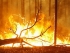 Lombfakadásig fenyeget a tavaszi tüzek veszélye