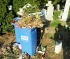 Fedeles kukákra cserélték a konténereket a temetőben