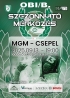 Vízilabda: MATE-GEAC-MSA – Csepel