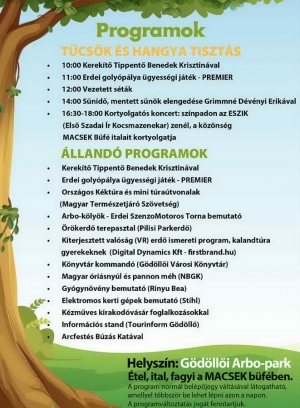 Erdei zsongás – családi nap a gödöllői Arbo-parkban